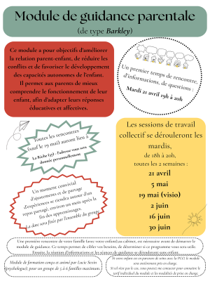 Guidance parentale Résistance Non Violente TDAH HPI TOP Tours